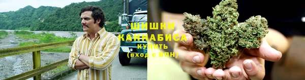 стаф Зерноград