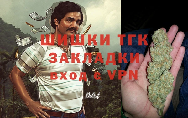 стаф Зерноград