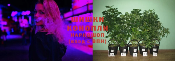 стаф Зерноград