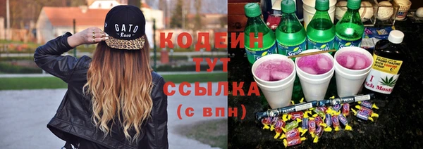 стаф Зерноград