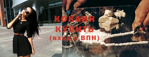 стаф Зерноград