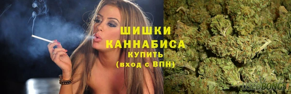 стаф Зерноград