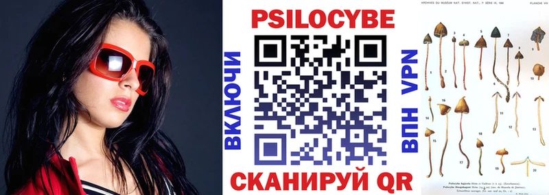 Купить где  Яранск  Псилоцибиновые грибы GOLDEN TEACHER 